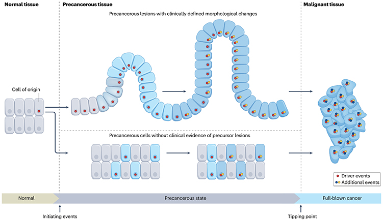 四川大學(xué)科技成果 四川大學(xué)科技成果